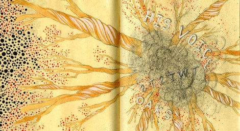 His Voice Twists Oaks