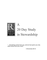 20 Day Study in Stewardship (cover)
