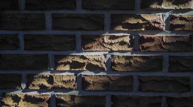 Having a Political Voice as a Church