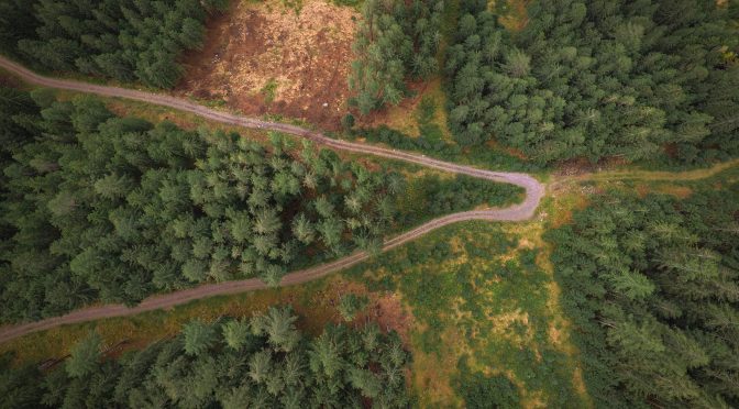 Imitators and Examples: Conversion and Worship